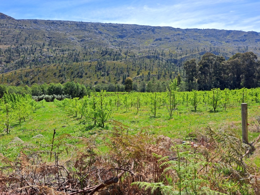 7 Bedroom Property for Sale in Riversdale Rural Western Cape